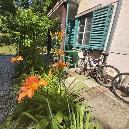 Garden Budha Relax Apartman, Parking, Bbq, Terrace Siofok Ngoại thất bức ảnh
