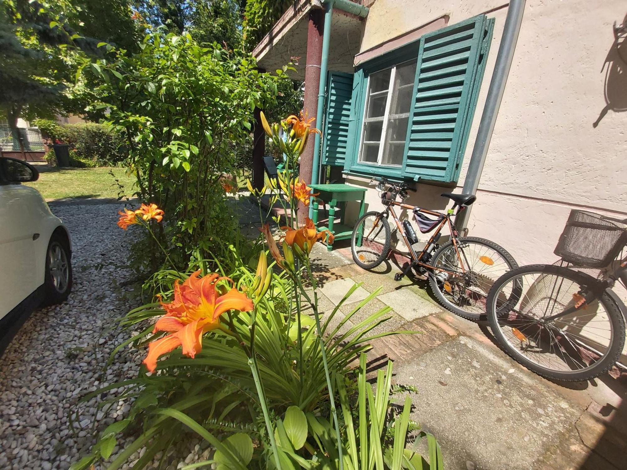 Garden Budha Relax Apartman, Parking, Bbq, Terrace Siofok Ngoại thất bức ảnh