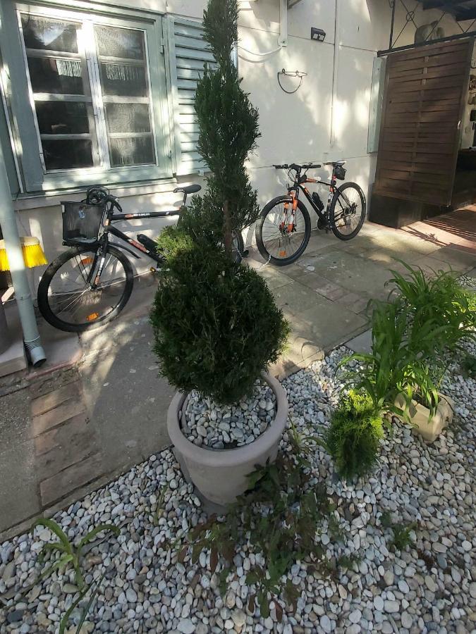 Garden Budha Relax Apartman, Parking, Bbq, Terrace Siofok Ngoại thất bức ảnh