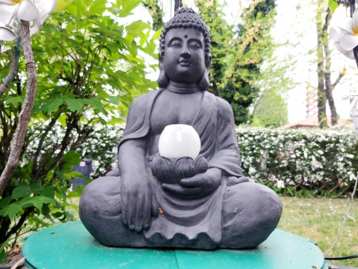 Garden Budha Relax Apartman, Parking, Bbq, Terrace Siofok Ngoại thất bức ảnh