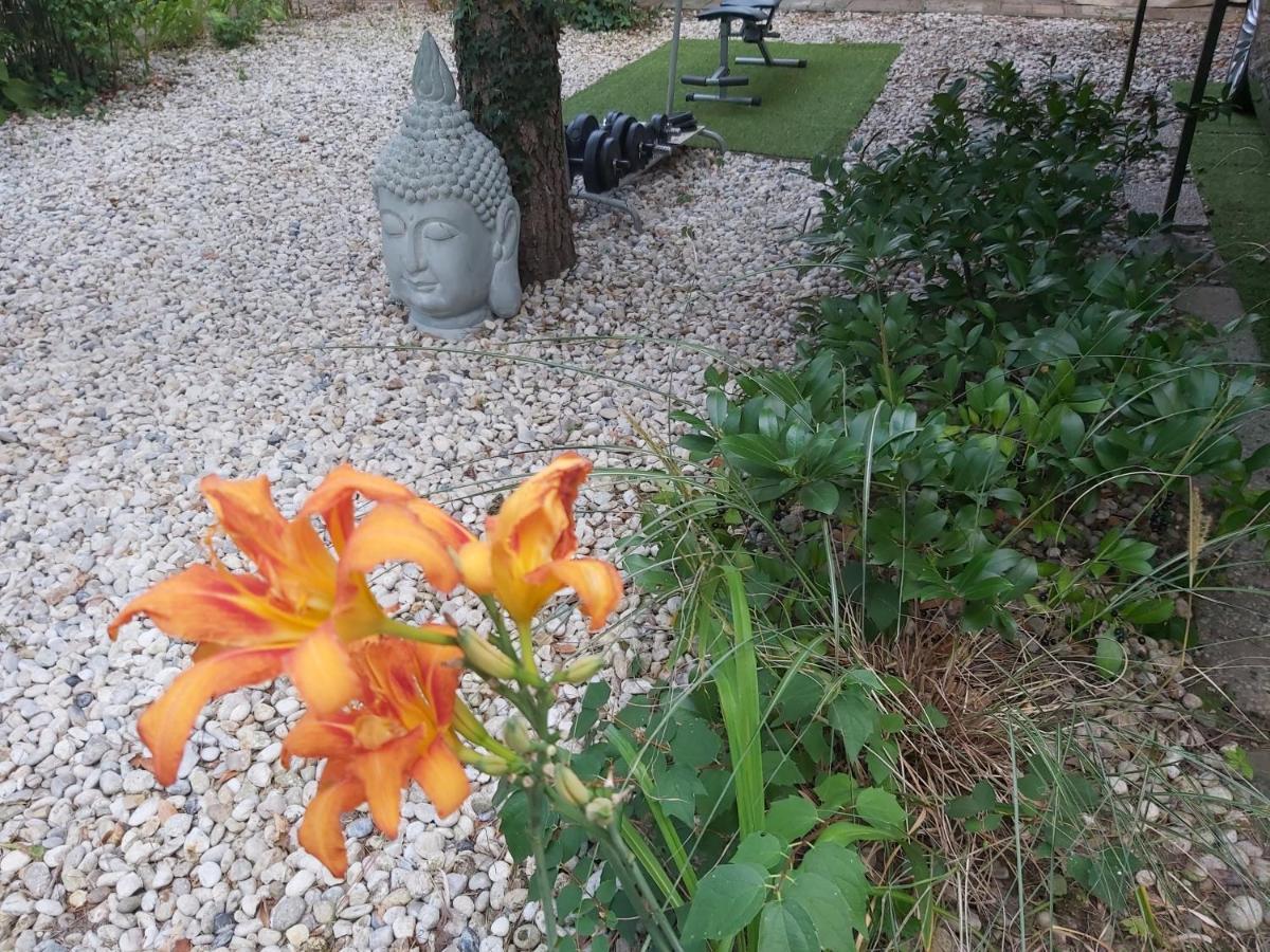 Garden Budha Relax Apartman, Parking, Bbq, Terrace Siofok Ngoại thất bức ảnh