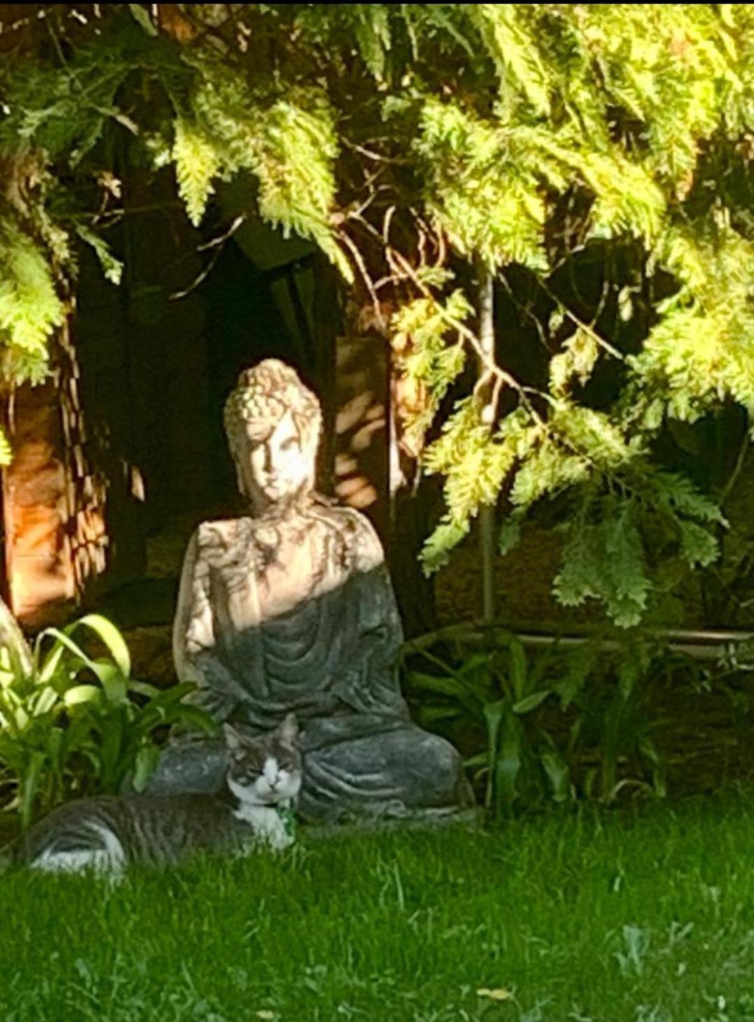 Garden Budha Relax Apartman, Parking, Bbq, Terrace Siofok Ngoại thất bức ảnh