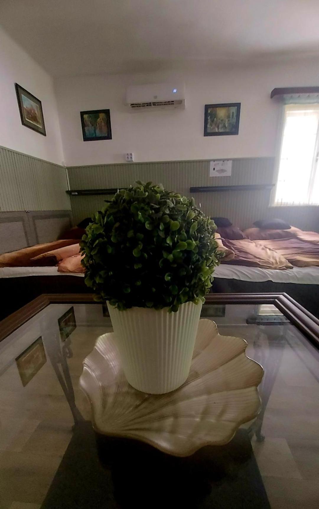 Garden Budha Relax Apartman, Parking, Bbq, Terrace Siofok Ngoại thất bức ảnh